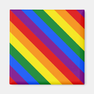 Regenboog Trots Diversiteit Gelijke Rechten Inclus Magneet