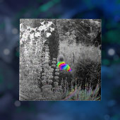 Regenboog Tuin Bezoeker Decoratieve Tegel Tegeltje