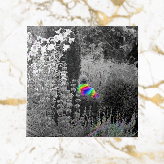 Regenboog Tuin Bezoeker Decoratieve Tegel Tegeltje