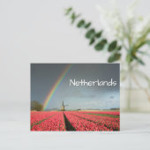 Regenboog, tulpen en briefkaart met windmolen (Staand voorkant)