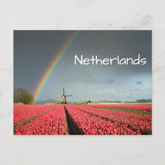 Regenboog, tulpen en briefkaart met windmolen (Voorkant)