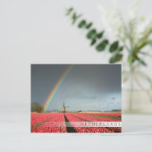 Regenboog, tulpen en briefkaart van de windmolenst (Staand voorkant)