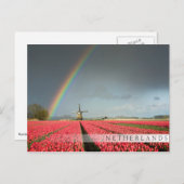 Regenboog, tulpen en briefkaart van de windmolenst (Voorkant / Achterkant)