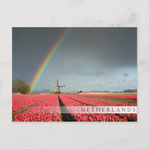 Regenboog, tulpen en briefkaart van de windmolenst
