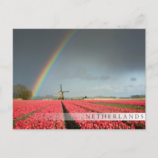 Regenboog, tulpen en briefkaart van de windmolenst (Voorkant)