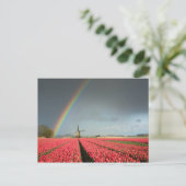 Regenboog, tulpen en briefkaart voor de windmolen (Staand voorkant)