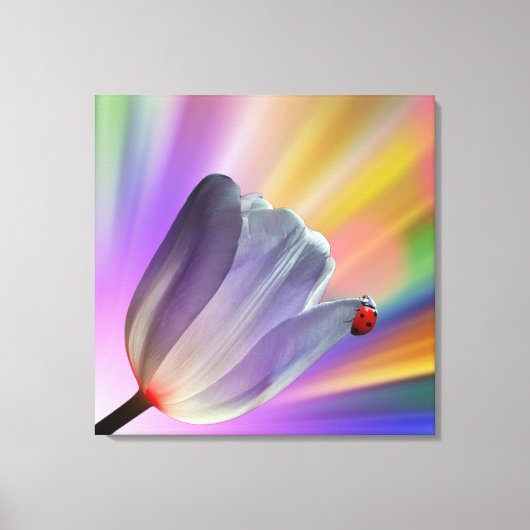 Regenboog, Tulpen en Ladybug Canvas Afdruk (Voorkant)