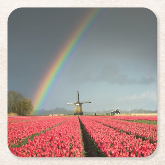 Regenboog, tulpen en onderzetter voor de windmolen (Voorkant)