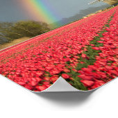 Regenboog, tulpen en poster voor de windmolen (Hoek)