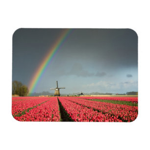 Regenboog, tulpen en rechthoekige windmolenmagnete magneet