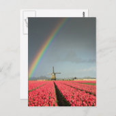 Regenboog, tulpen en verticaal briefkaart van de w (Voorkant / Achterkant)