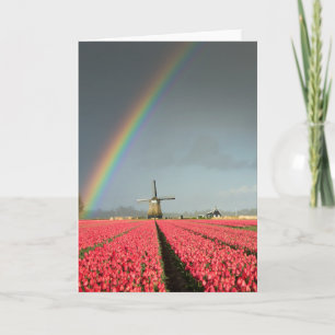 Regenboog, tulpen en wenskaart voor de windmolen kaart