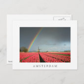 Regenboog, tulpen en windmolen Amsterdam briefkaar Briefkaart (Voorkant / Achterkant)