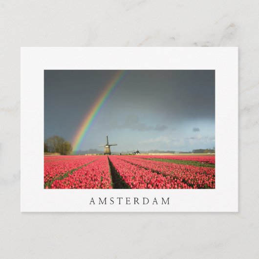 Regenboog, tulpen en windmolen Amsterdam briefkaar Briefkaart (Voorkant)