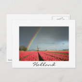 Regenboog, tulpen en windmolen in het Holland-brie Briefkaart (Voorkant / Achterkant)