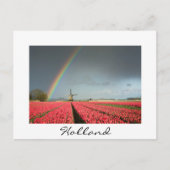 Regenboog, tulpen en windmolen in het Holland-brie Briefkaart (Voorkant)