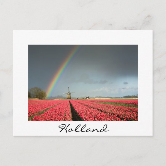Regenboog, tulpen en windmolen in het Holland-brie Briefkaart (Voorkant)