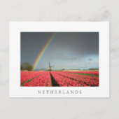 Regenboog, tulpen en windmolen Nederlands briefkaa Briefkaart (Voorkant)