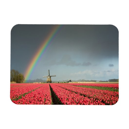 Regenboog, tulpen en windmolen rechthoekige magnee magneet (Horizontaal)