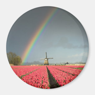 Regenboog, tulpen en windmolen ronde magneet