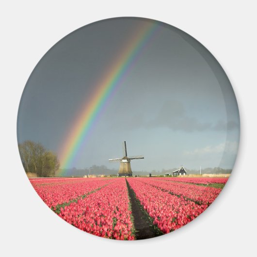 Regenboog, tulpen en windmolen ronde magneet (Voorkant)