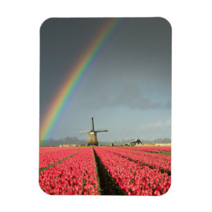 Regenboog, tulpen en windmolen verticale magneet
