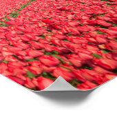 Regenboog, tulpen en windmolen verticale poster (Hoek)