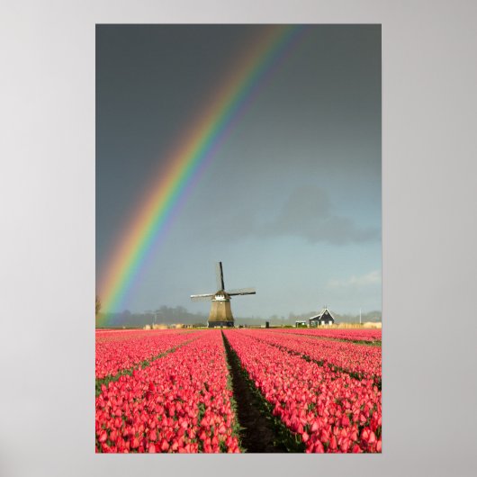 Regenboog, tulpen en windmolen verticale poster (Voorkant)