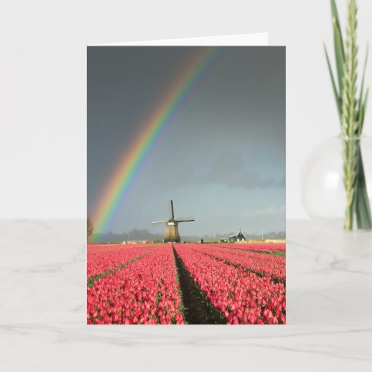 Regenboog, tulpen en windmolen wenskaart kaart (Voorkant)