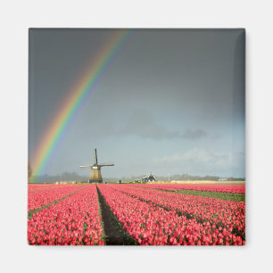 Regenboog, tulpen en windmolenmagneten magneet