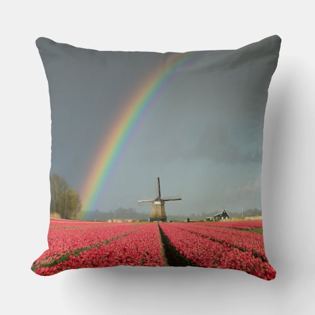 Regenboog, tulpen en windmolenmanden kussen (Voorkant)