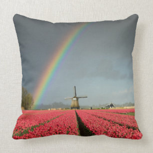 Regenboog, tulpen en windmolenmanden kussen