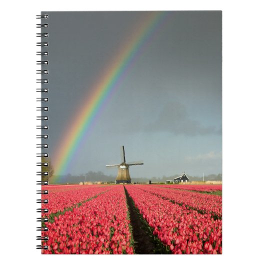 Regenboog, tulpen en windmolennotebooks notitieboek (Voorkant)