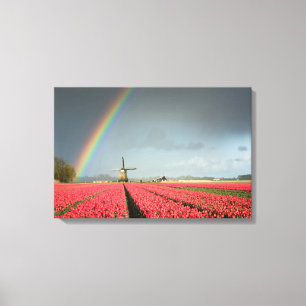 Regenboog, tulpen en zeildoek voor de windmolen canvas afdruk
