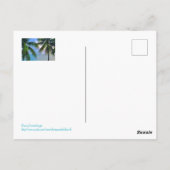 Regenboog tussen palmbomen / St. Lucia Briefkaart (Achterkant)