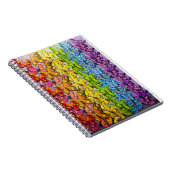 Regenboog van buiken notitieboek (Rechterzijde)