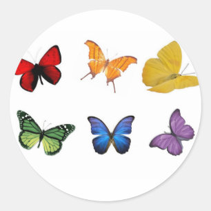 Regenboog van Butterflies Ronde Sticker