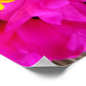 Regenboog van Daisies Poster (Hoek)