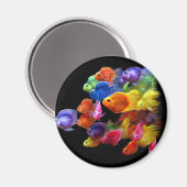 Regenboog van de roodbaars magneet (Voorkant / Achterkant)