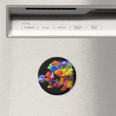 Regenboog van de roodbaars magneet (Insitu (Vaatwasser))