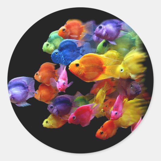 Regenboog van de roodbaars ronde sticker (Voorkant)