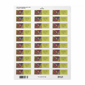 Regenboog van het orchideeën-etiket etiket (Full Sheet)