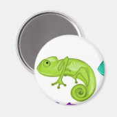 Regenboog van kameleons magneet (Voorkant / Achterkant)