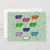 Regenboog van Schapen Briefkaart (Voorkant / Achterkant)