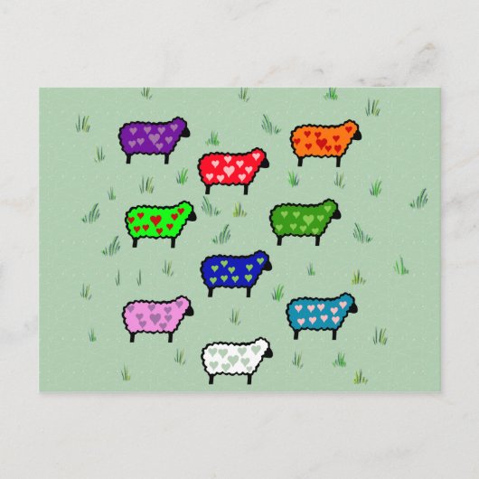 Regenboog van Schapen Briefkaart (Voorkant)