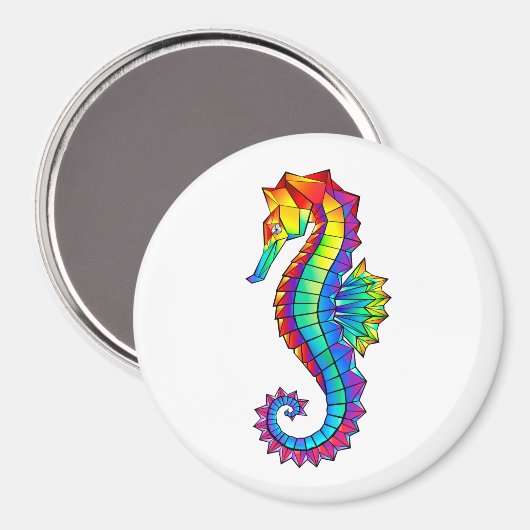 Regenboog Veelhoekig Zeepaardje Magneet (Voorkant / Achterkant)