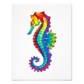 Regenboog Veelhoekige Zeepaard Foto Afdruk (Voorkant)