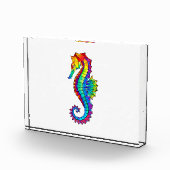 Regenboog Vlakke Zeepaard Fotoblokken (Rechts)