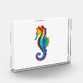 Regenboog Vlakke Zeepaard Fotoblokken (Links)