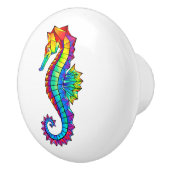 Regenboog Vlakke Zeepaard Keramische Knop (Rechts)